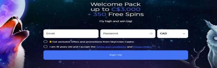 skycrown.com casino bonus