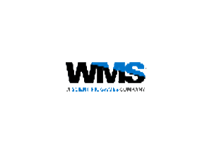 WMS Gaming provider